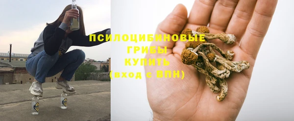 шишки Покровск